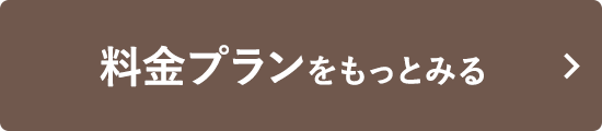 料金プランをもっとみる
